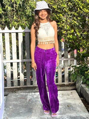 TANDUL  Women Regular Fit Purple Velvet Trousers