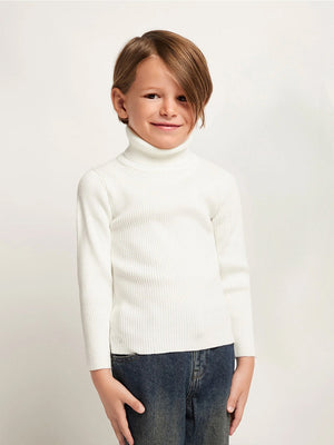 TANDUL Solid High Neck White Sweater
