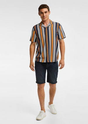 TANDUL Striped Printed Half Sleeves Casual Shirt
