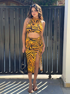 TANDUL Women Bold Tiger Printed Dress