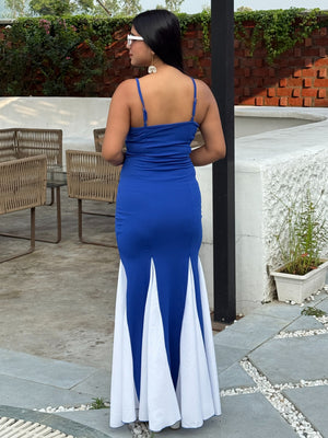 TANDUL Women Stunning Blue Flair Dress