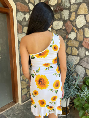 TANDUL Women Bodycon Multicolor Dress
