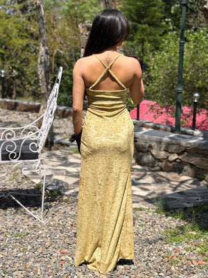 TANDUL Women Maxi Green Velvet Dress