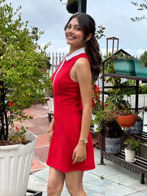 TANDUL Women Solid Red Polo Dress