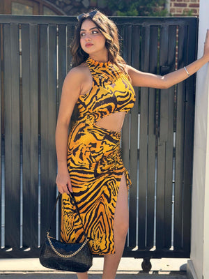 TANDUL Women Bold Tiger Printed Dress