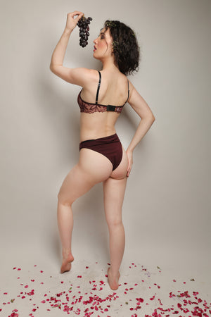 ELTIRE Embroided Wine Color Soft Net Lingerie Set