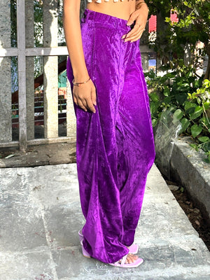 TANDUL  Women Regular Fit Purple Velvet Trousers