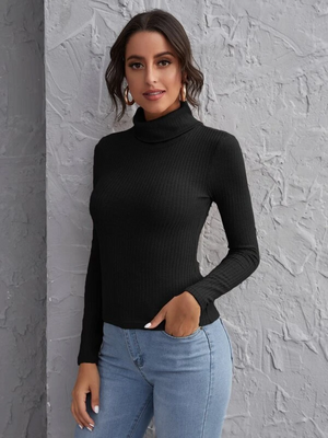 TANDUL Women Solid High Neck Black Sweater
