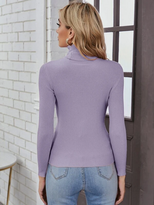 TANDUL  Women Solid High Neck Purple Sweater