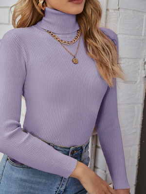 TANDUL  Women Solid High Neck Purple Sweater