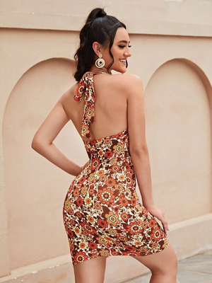 Women Bodycon Multicolor Dress