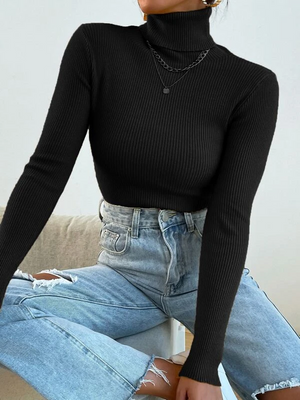 TANDUL Women Solid High Neck Black Sweater