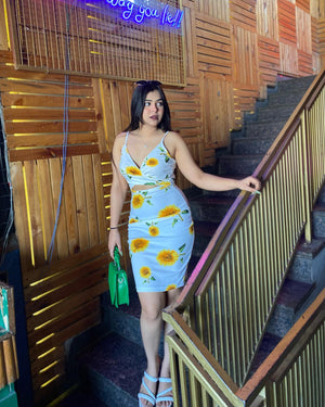 Women Bodycon Multicolor Dress