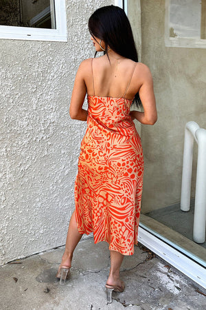 Women Bodycon Multicolor Dress