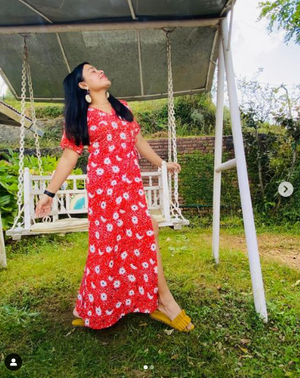 TANDUL INSTA  Women Maxi Multicolor Dress