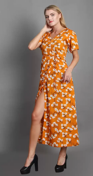 TANDUL INSTA  Women Maxi Multicolor Dress