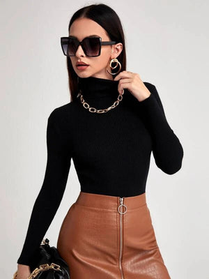 Women Solid Turtle Neck Black Sweater