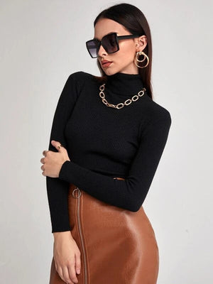 Women Solid Turtle Neck Black Sweater