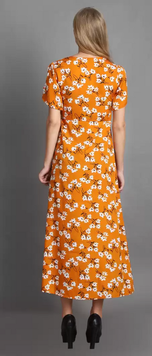 TANDUL  Women Maxi Multicolor Dress